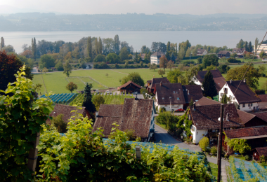 Weinwochen Lattenberg