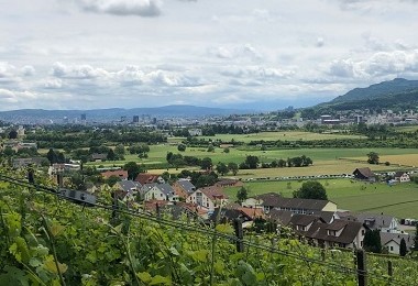Weiningen