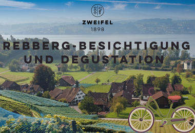 Rebberg-Besichtigung und Degustation