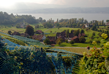 Lattenberg