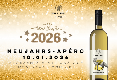 Neujahrs-Apéro in Höngg