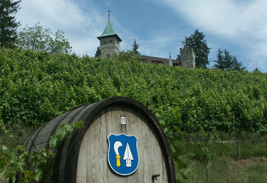 Oberengstringen