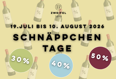 Schnäppchen tage 380x260 2026
