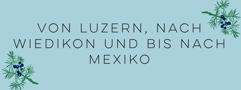 Wiedikon Sant&eacute;