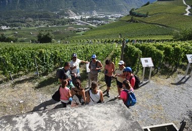 Walliser Rebsortenwanderung