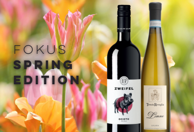 Frühlingsfokus 2026
