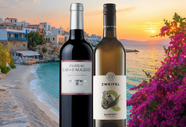 Fokus-Degustation Summer Wines