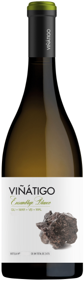 Viñátigo Ensamblaje Blanco