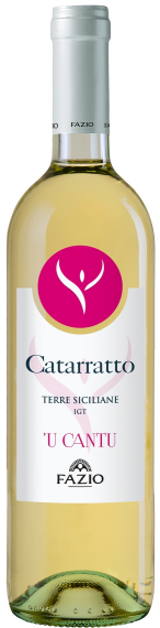 Catarratto u Cantu