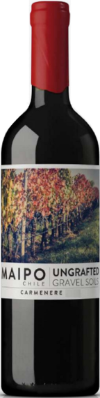 Carmenère Ungrafted