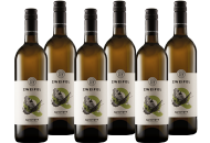Quintett Assemblage Weiss, Jahreswein Set